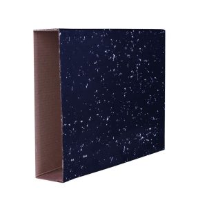 file archlever oblong c/w dustcover